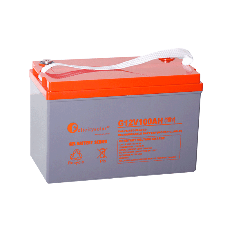Felicity G12V100AH Gel Battery